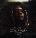 Gaulois - La Gaule Vol 1 Album Complet